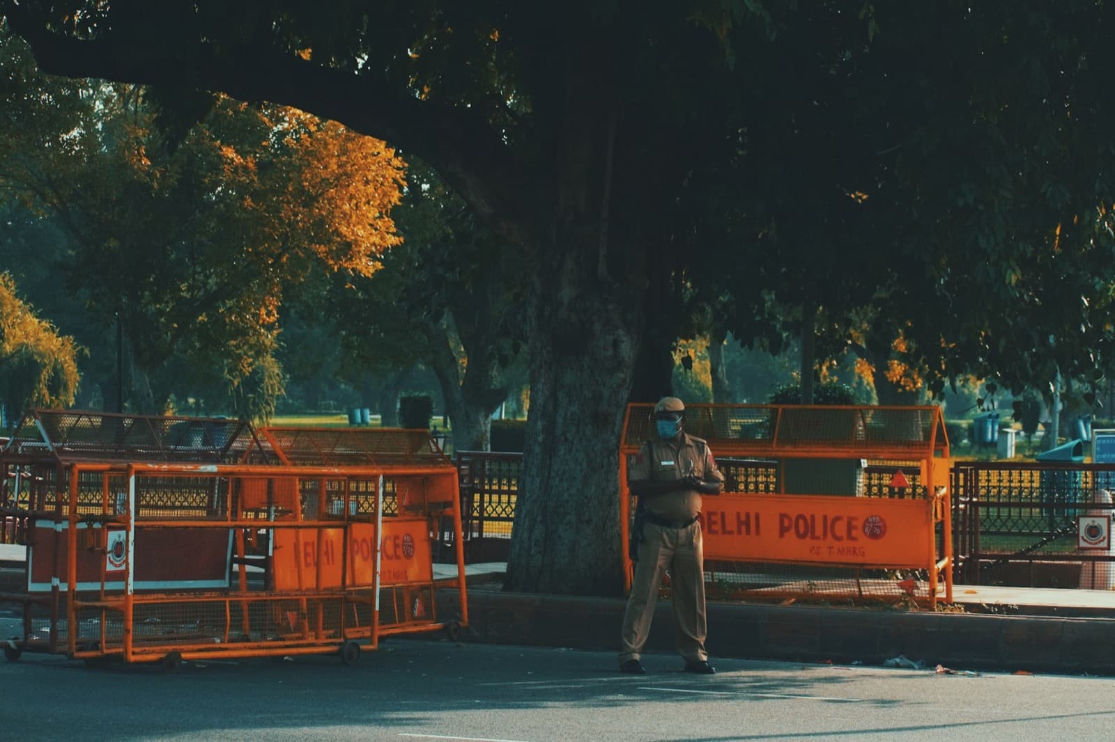 A Delhi Police officer beside barricades on a tree-lined Delhi road